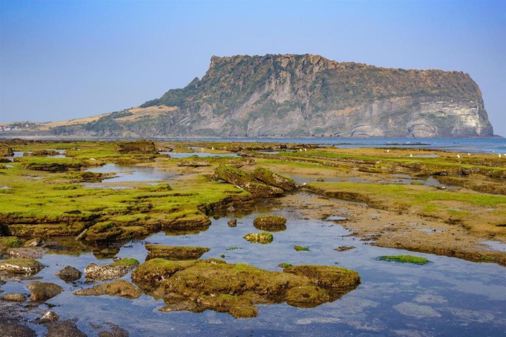 Hotel Aroha Jeju Seogwipo Ngoại thất bức ảnh